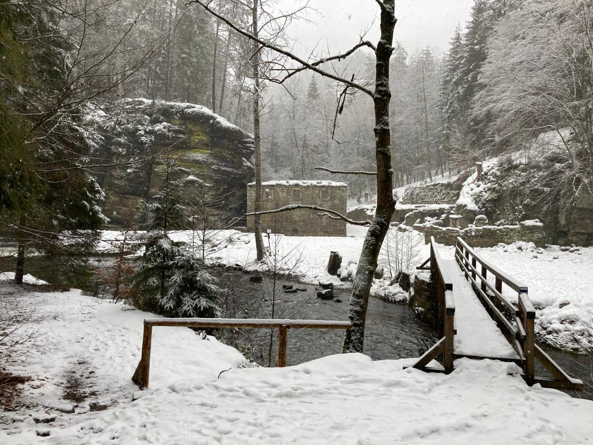 Pension Hofberg Jetrichovice  ภายนอก รูปภาพ