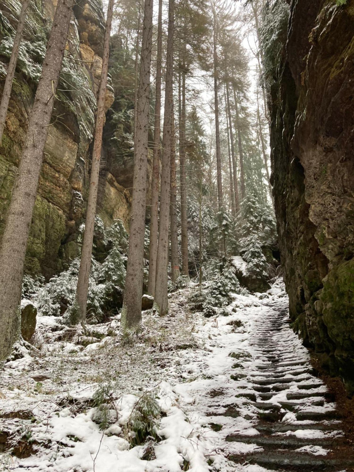 Pension Hofberg Jetrichovice  ภายนอก รูปภาพ