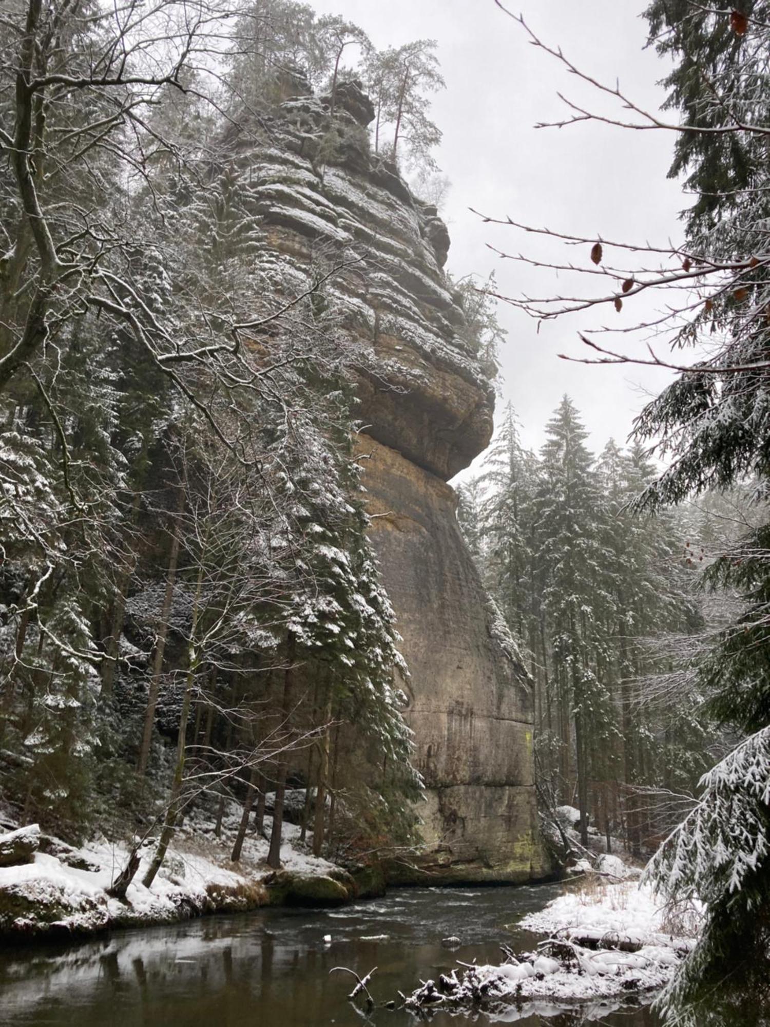 Pension Hofberg Jetrichovice  ภายนอก รูปภาพ